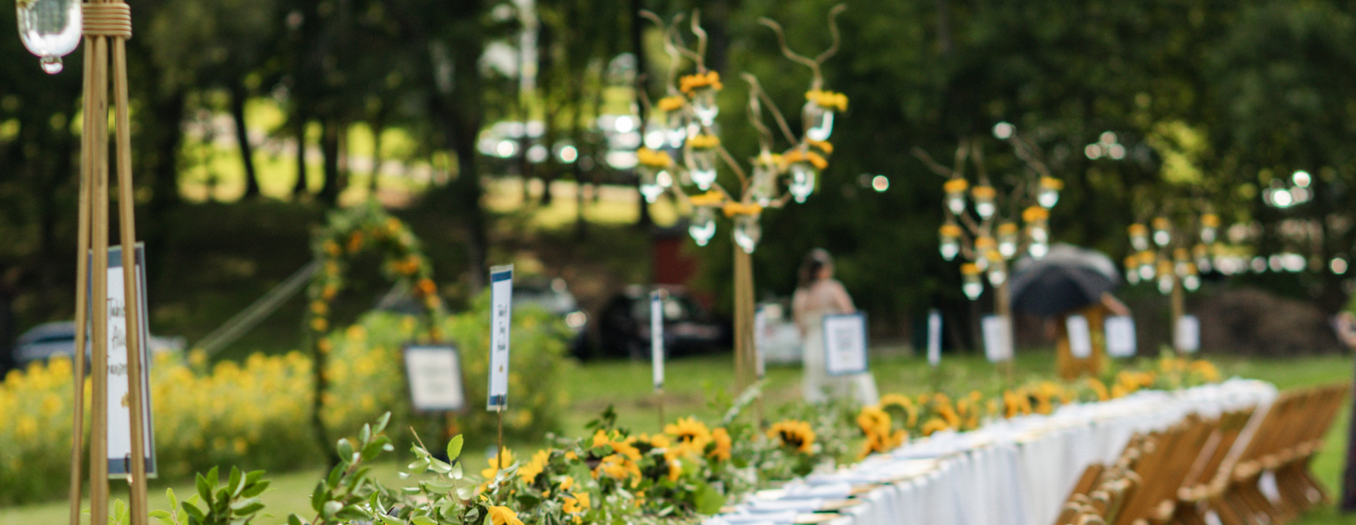 Sunflowers at Sunset 2026: Grow the Impact